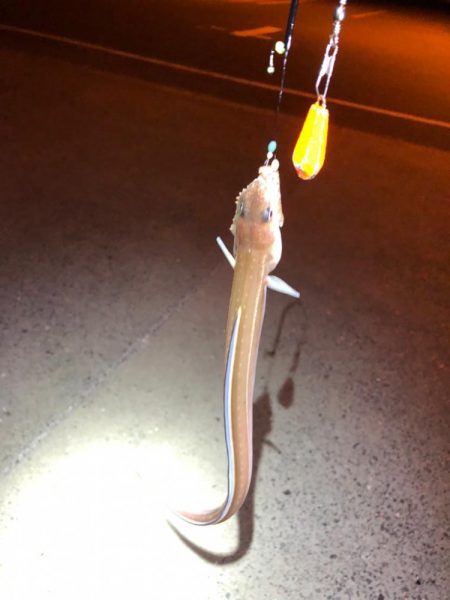 久しぶりの餌釣り♪