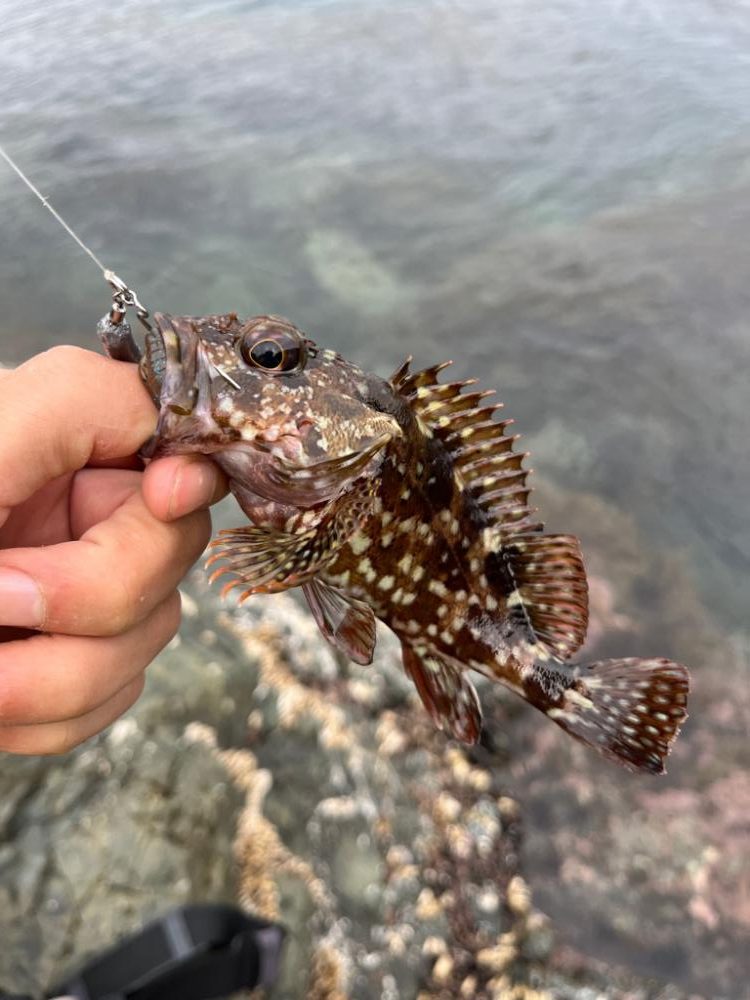 小浜ライトロック