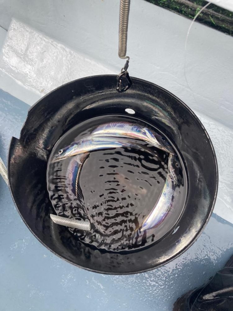 初めての天秤タチウオ