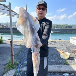 来た〜アオリ3kgアップ