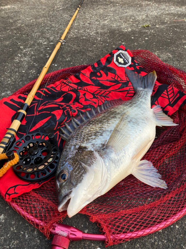 ヘチってきました