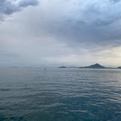 2023初フィッシュ🐟