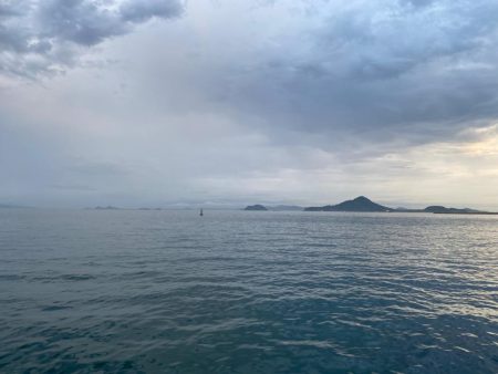 2023初フィッシュ🐟