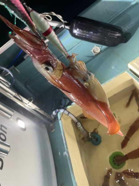 イカメタルシーズンイン