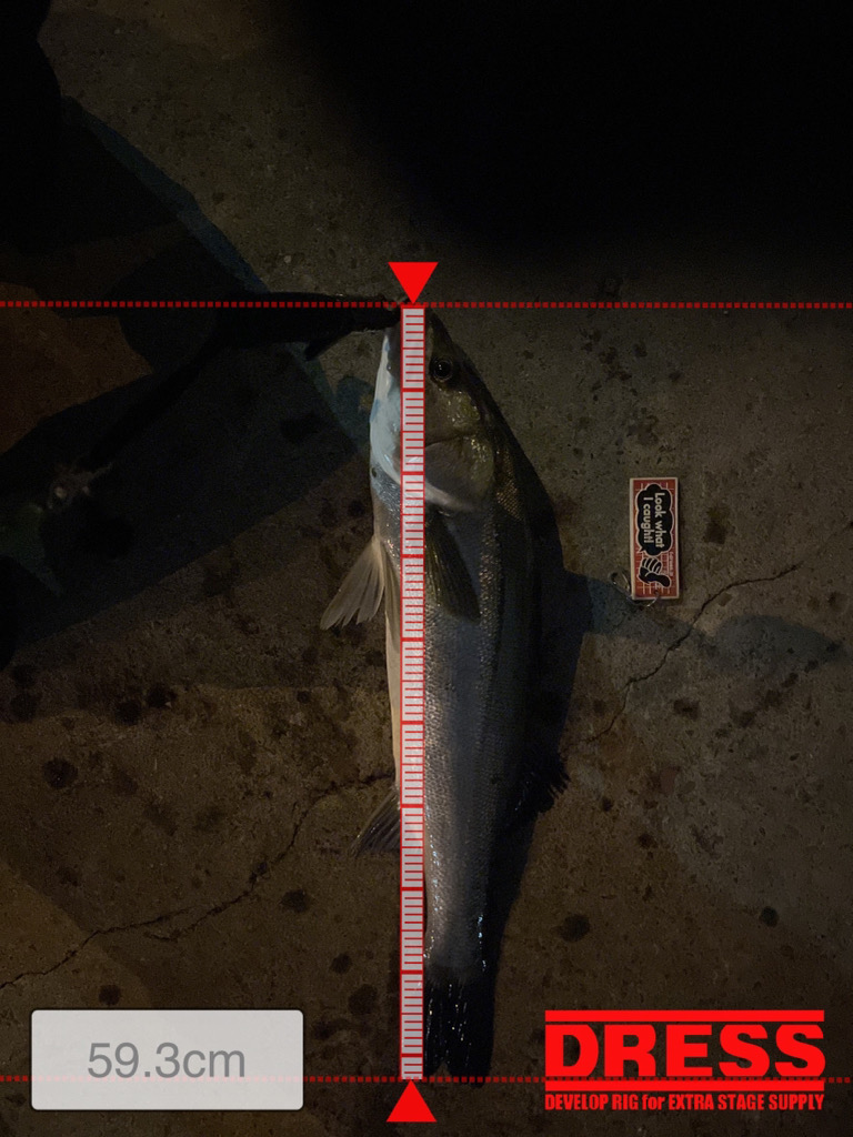 バチパターン開幕