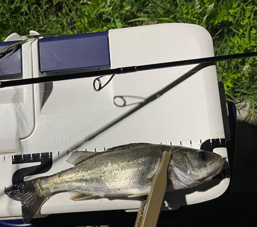 ジグ単deアジング！微妙…