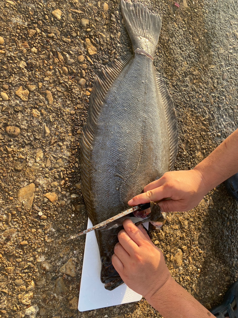 ゴールデンウィーク釣行