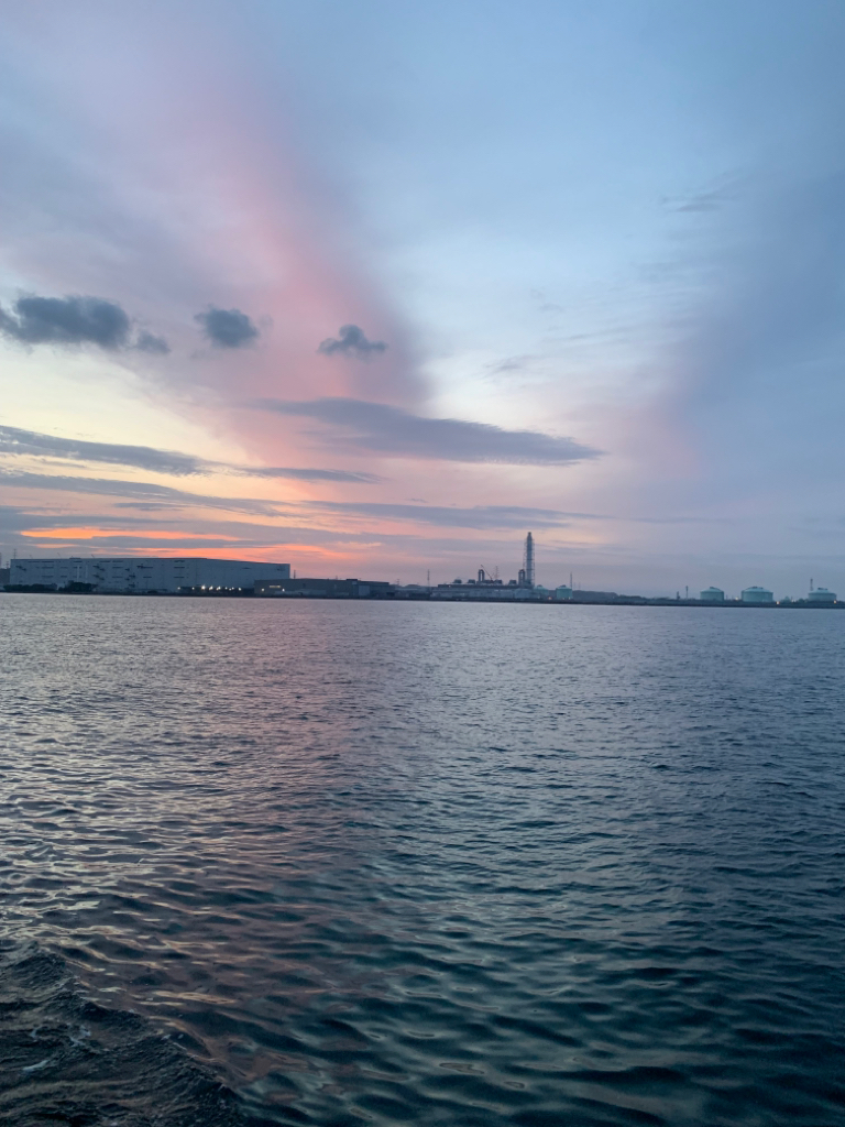 今年も細長いアイツの季節がやってきた？