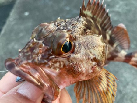 ご機嫌いかが？