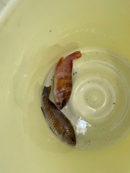 めっちゃ引くやん…