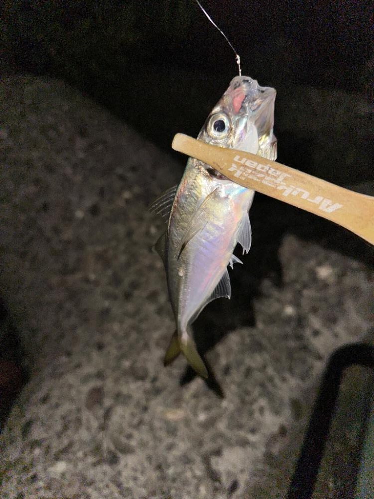 人の少ないポイント探し