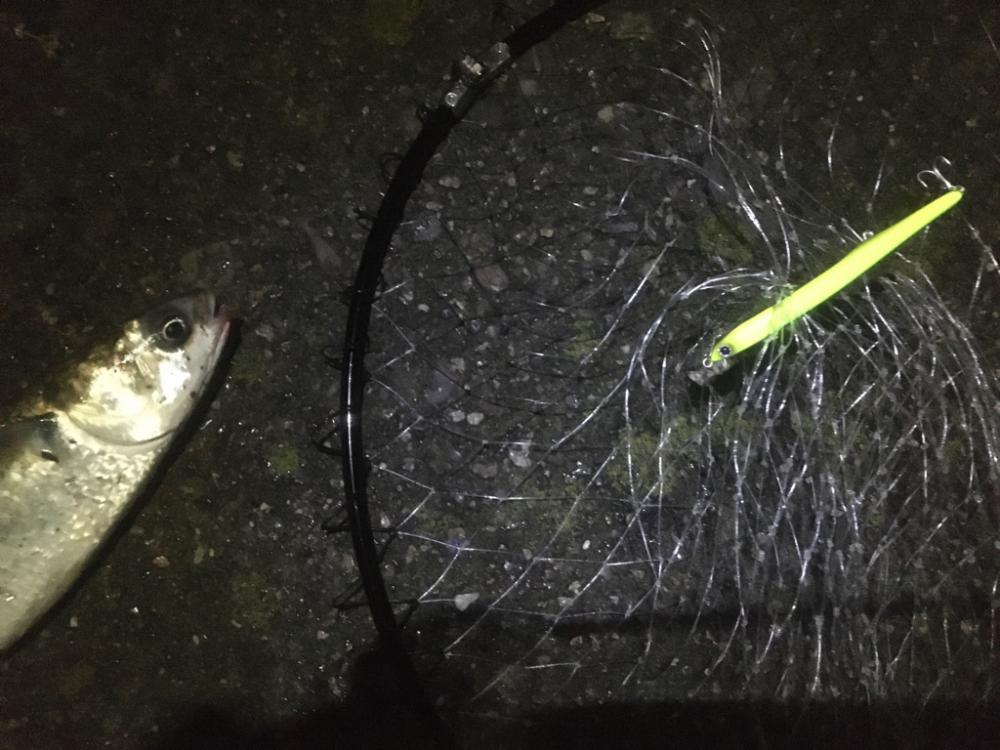 雨後のバチ抜けは‥