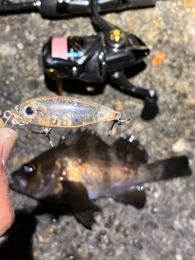 ボクもメバルもあのルアー。