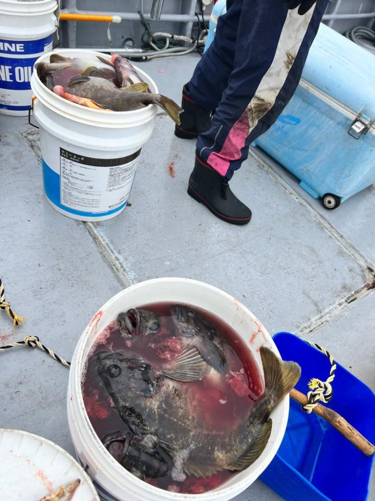 五目フィッシング