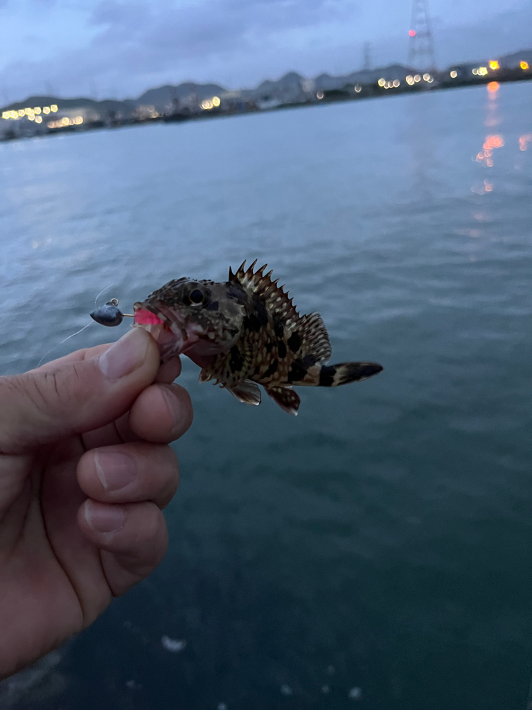 姫路ライトゲーム