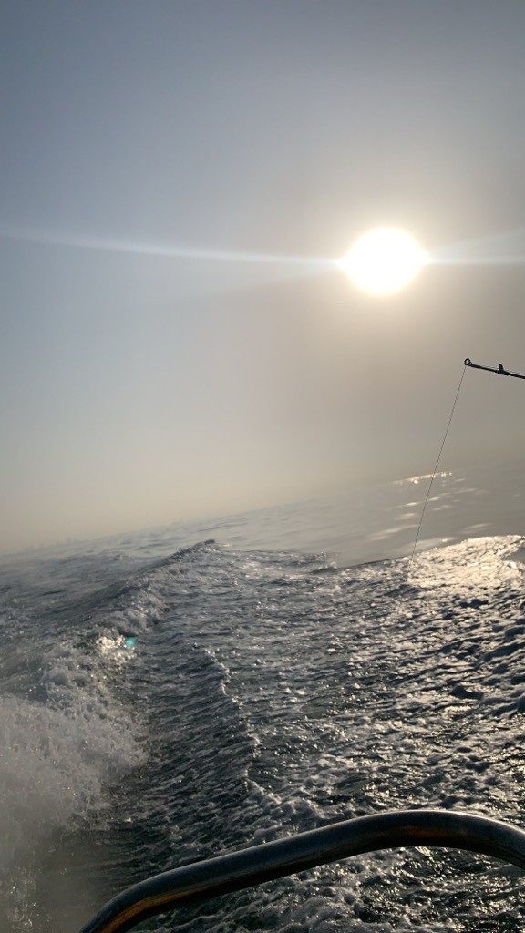 タイラバ難しい。