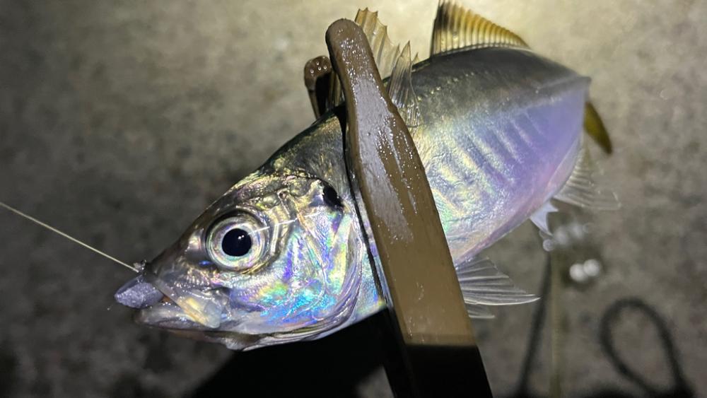 ころころかわるレンジ