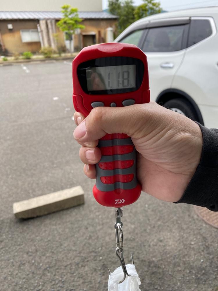 春はマッディキング！！