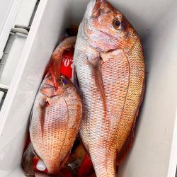 久々にあの海に