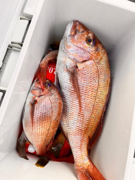 久々にあの海に