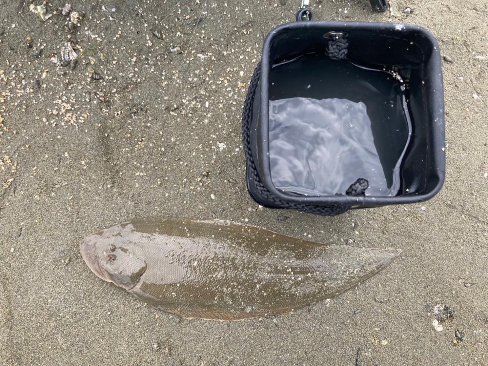 久しぶりのスペシャルゲスト