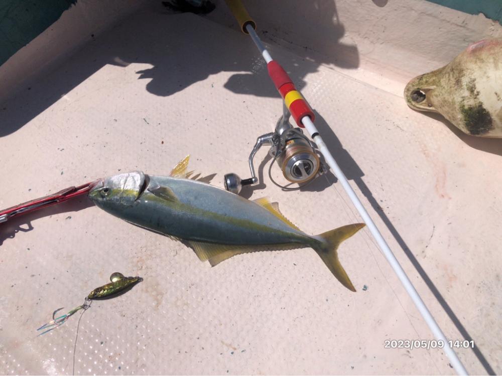 5/9 橘湾〜伊島ジギング&タイラバ