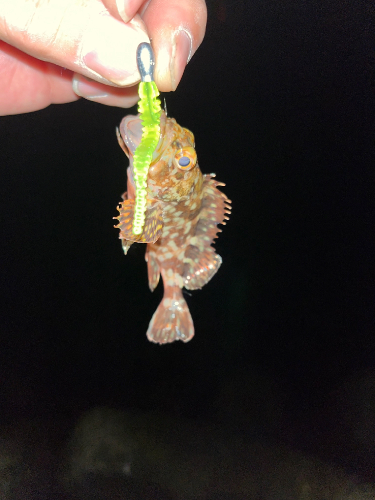 姫路ライトゲーム