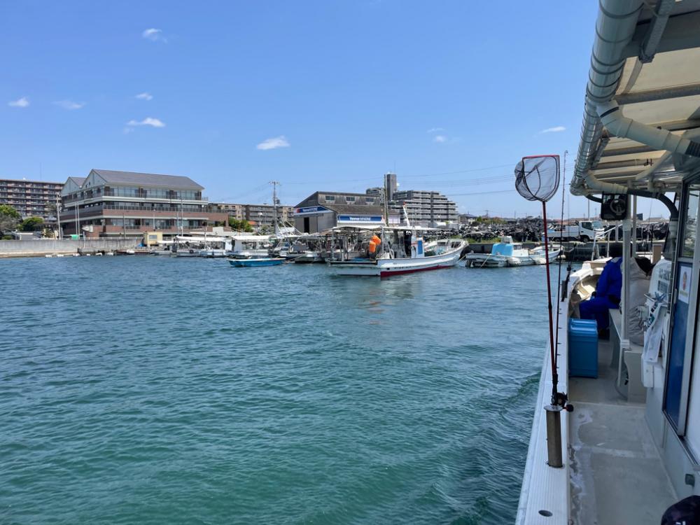 明石タコ解禁2日目