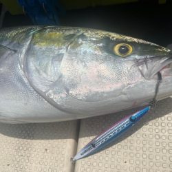 鳥取砂丘沖 ジギング