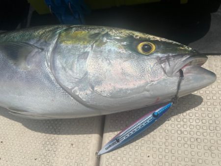 鳥取砂丘沖 ジギング