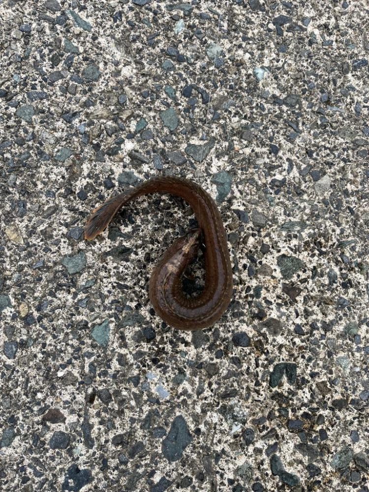 GWライトゲームin小浜