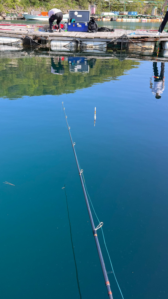久しぶりの水宝