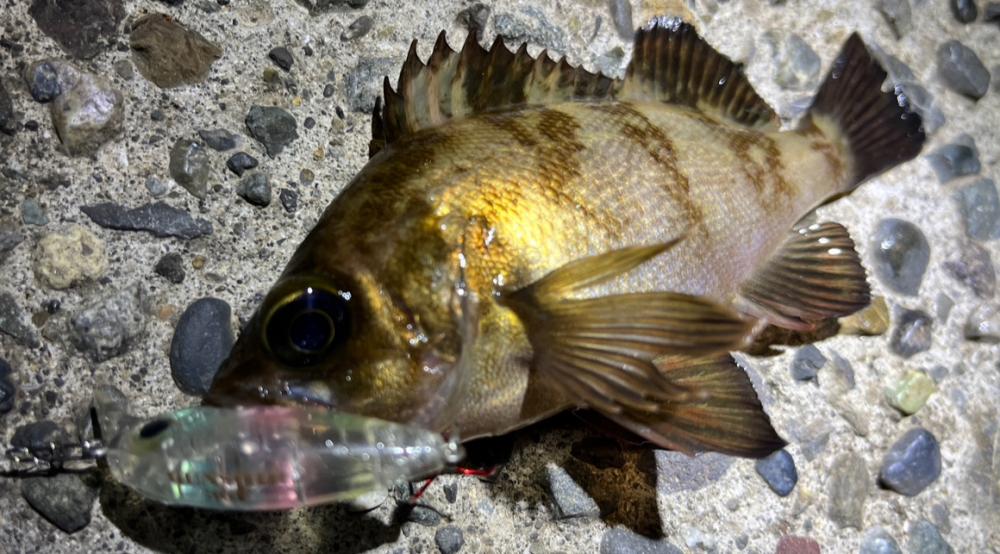 風＋大荒れの海