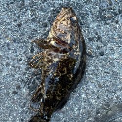 GWライトゲーム