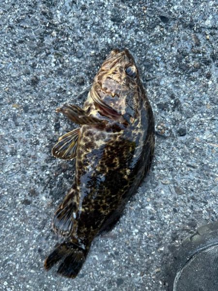 GWライトゲーム