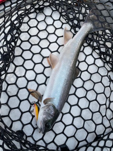 然別湖釣行2日目