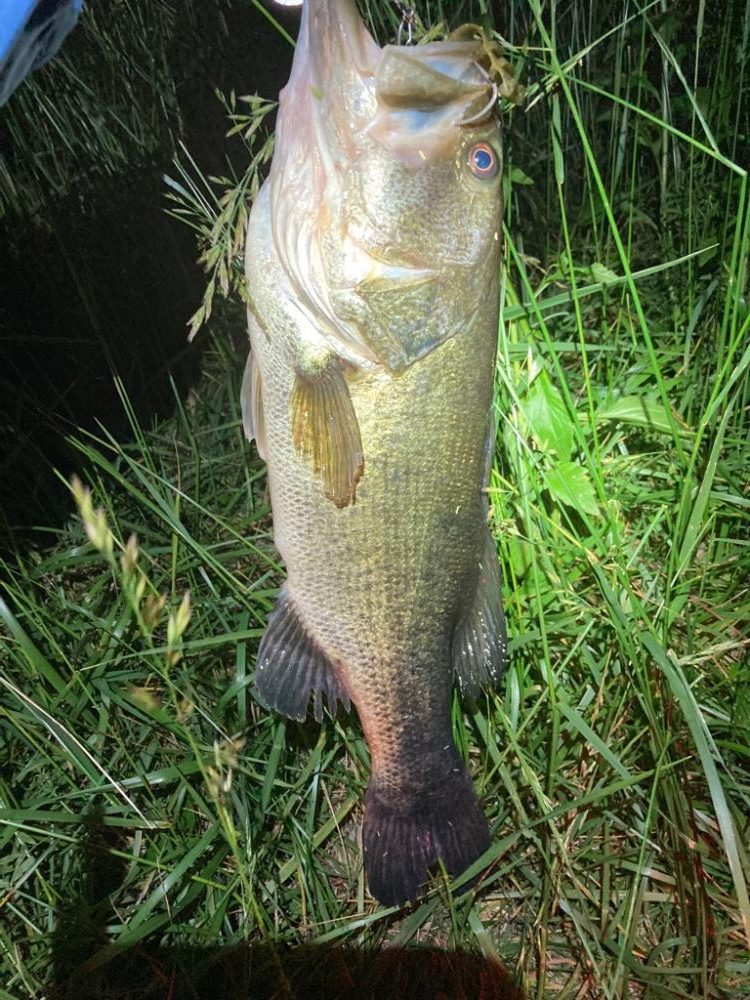 アフターにはブルフラ4.8！！