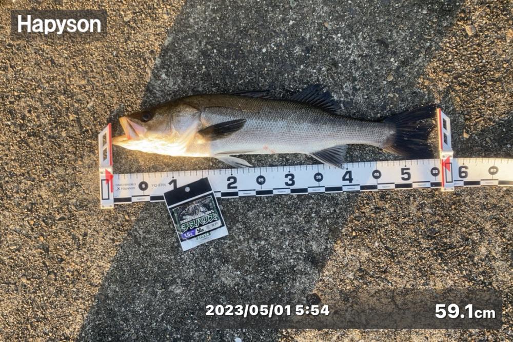 5月スタート エビ撒き釣り にて