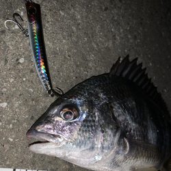 ２投目ヒット！