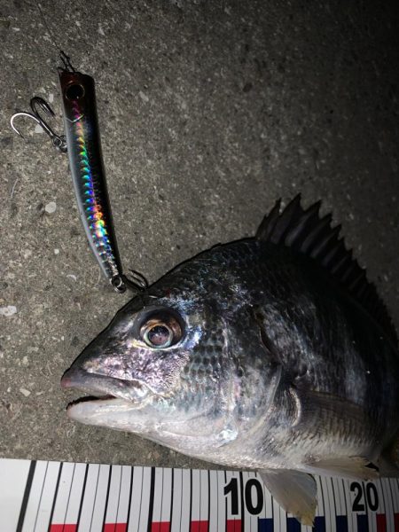 ２投目ヒット！