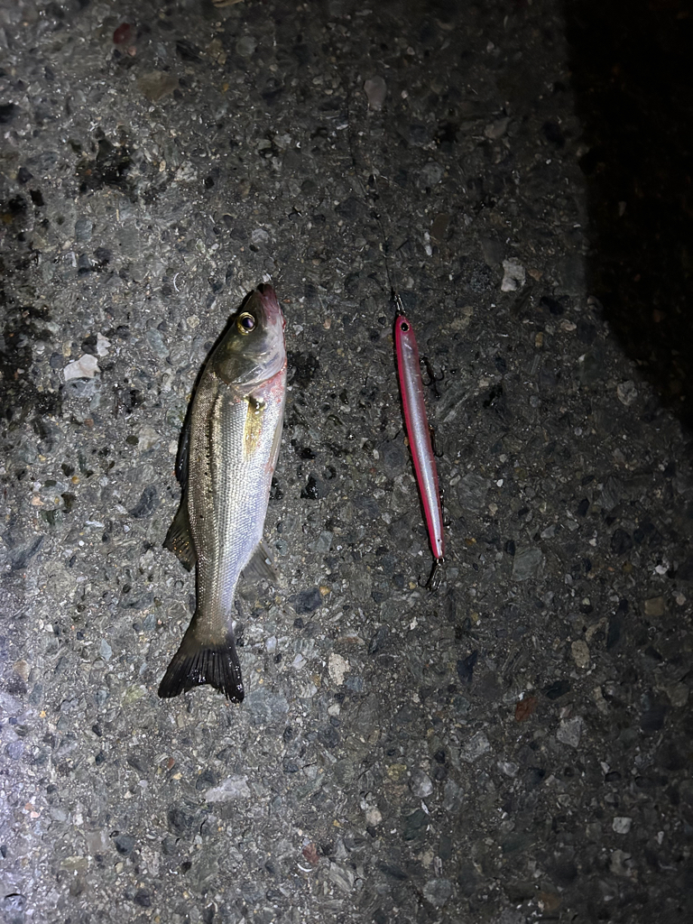 バチ抜けパターン