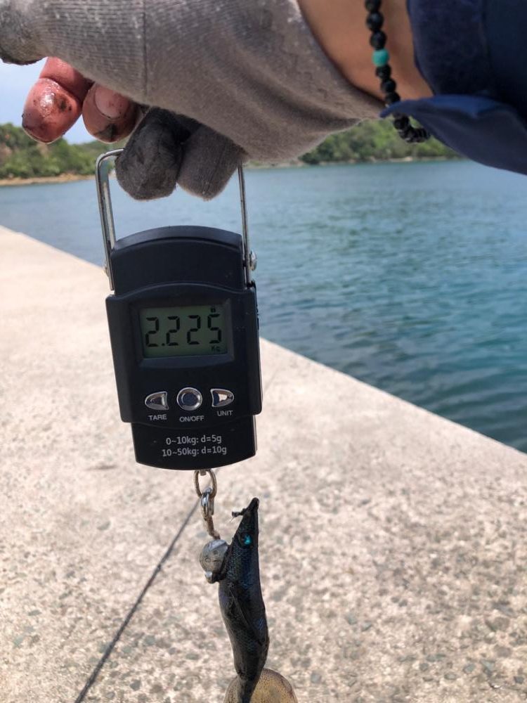 追い風5m以上の中、エギング！