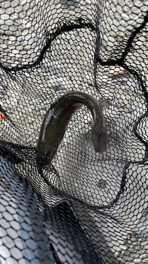 渋かったですが釣れて良かった