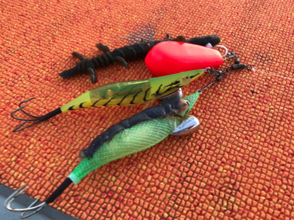 栄真丸のタコ釣り