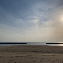 のんびりキス釣り