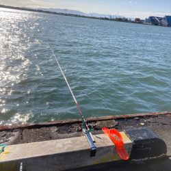 トリックサビキ