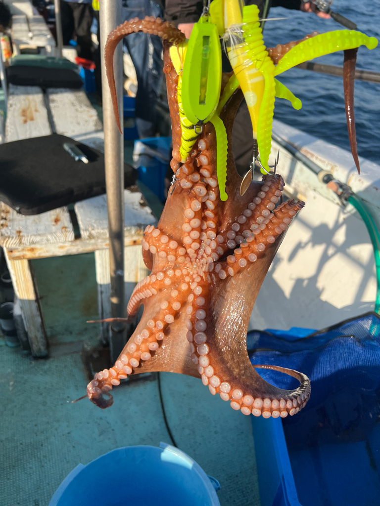 明石タコ開幕戦🐙