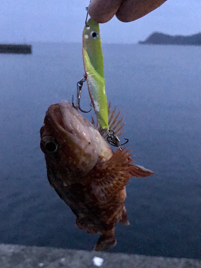 ショアジギング