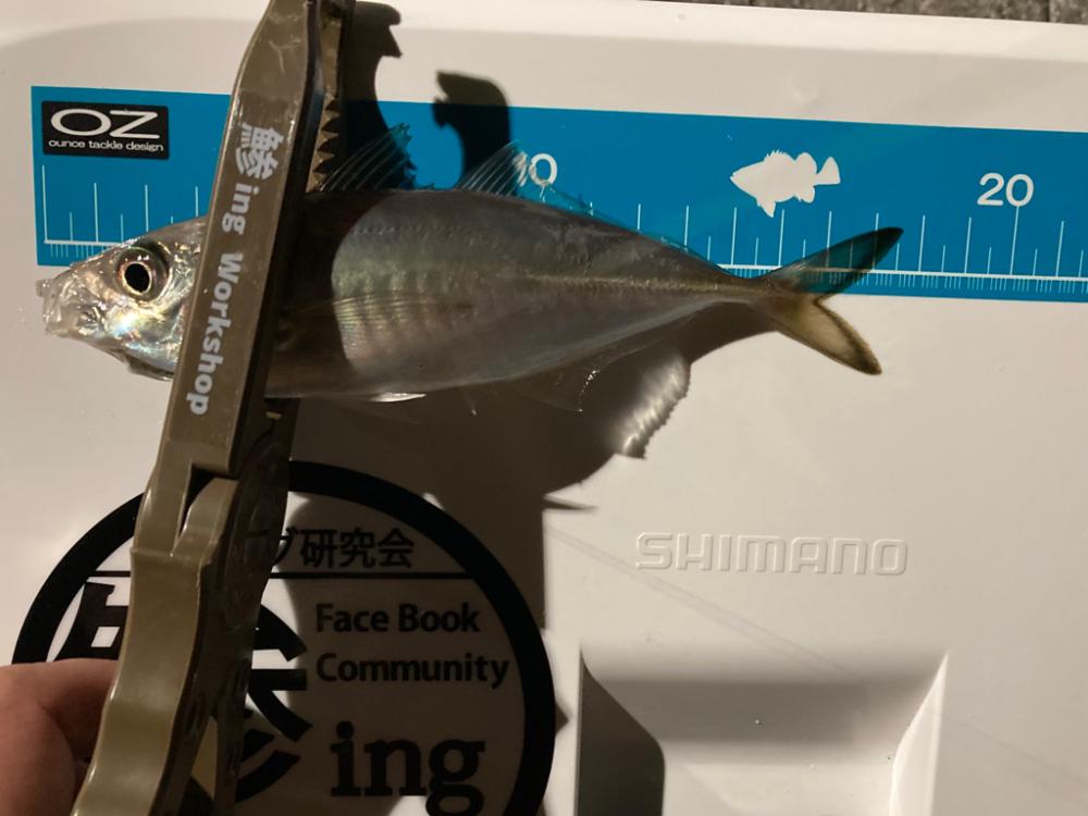 雨上がりの様子は・・・