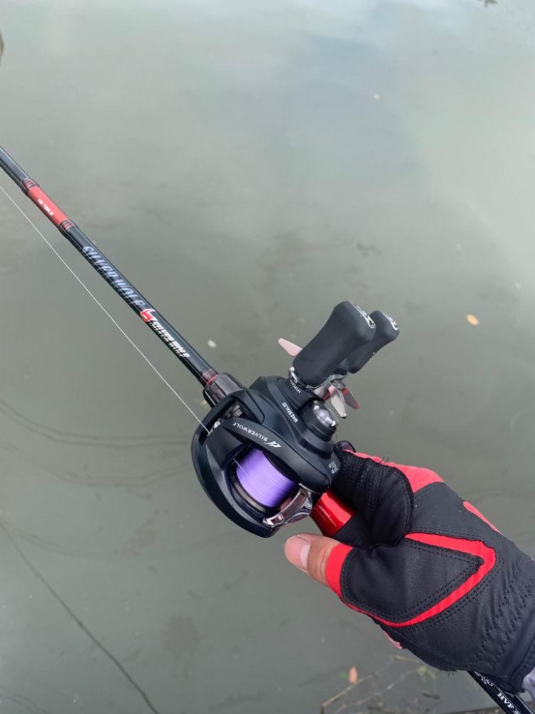 チニングならぬマゴチング？